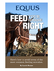 Feed Your Horse Right